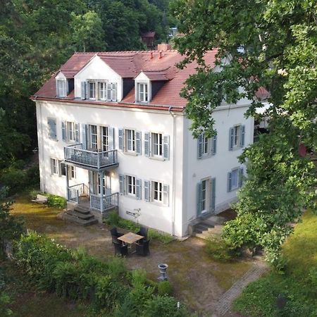 Villa Im Park Wachwitzgrund Дрезден Экстерьер фото