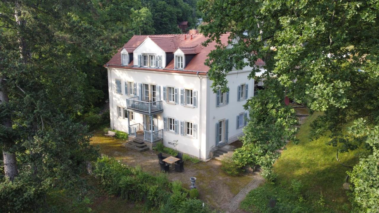 Villa Im Park Wachwitzgrund Дрезден Экстерьер фото