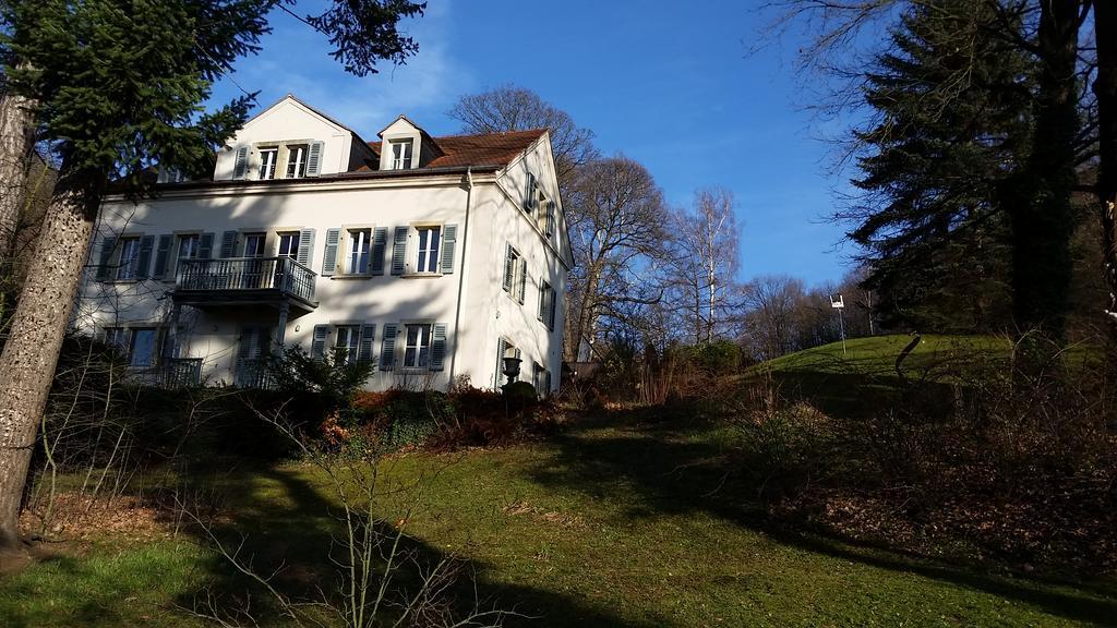 Villa Im Park Wachwitzgrund Дрезден Экстерьер фото